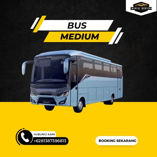 Medium Bus