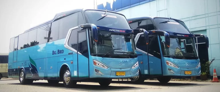 Harga Sewa Elf Blue Bird: Pilihan Terbaik untuk Perjalanan Kelompok yang Nyaman