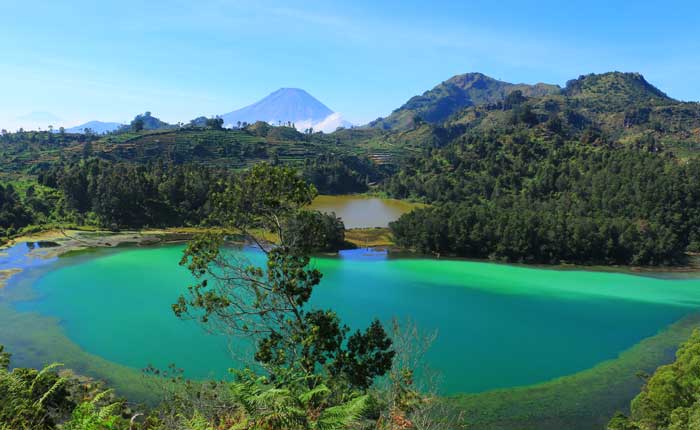 Harga Sewa Elf Jakarta Dieng: Liburan Ke Kebun Teh Jadi Mengesankan !