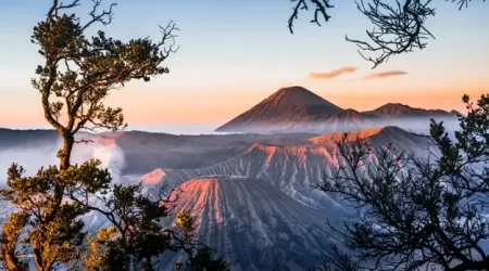 Sewa Elf Surabaya Malang Bromo