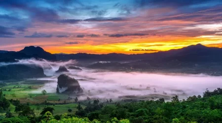 Sejarah dan Fakta Unik Jember