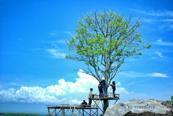 5 Tempat Wisata Madiun