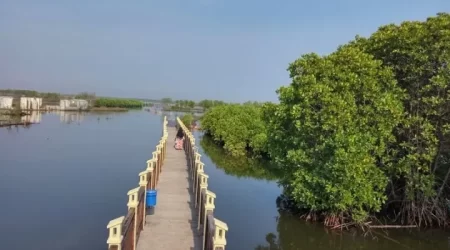 Mangrove Park Pekalongan