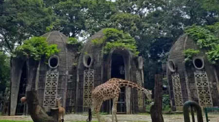 Ragunan Zoo merupakan 5 tempat wisata Jakarta